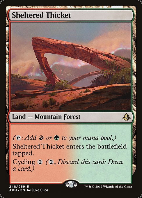 Sheltered Thicket from Amonkhet