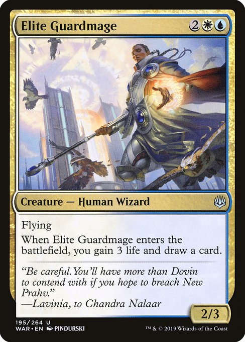 Elite Guardmage highlighted card art