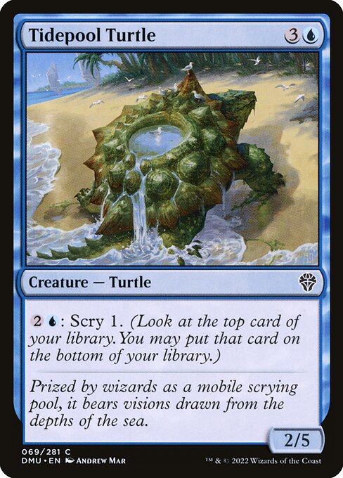 Tidepool Turtle from Dominaria United