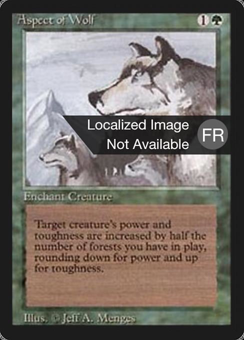 Aspect of Wolf from Foreign Black Border