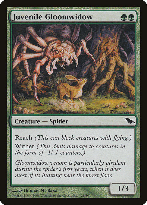 Juvenile Gloomwidow highlighted card art