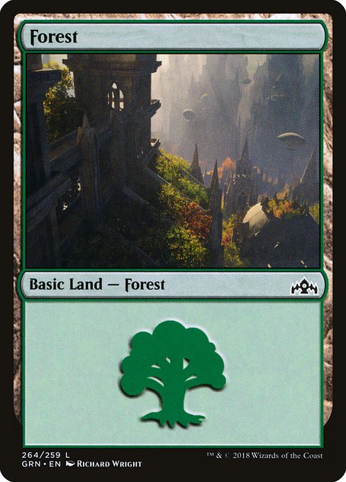 Forest from Guilds of Ravnica