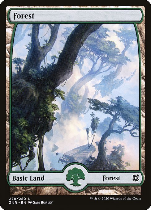 Forest from Zendikar Rising