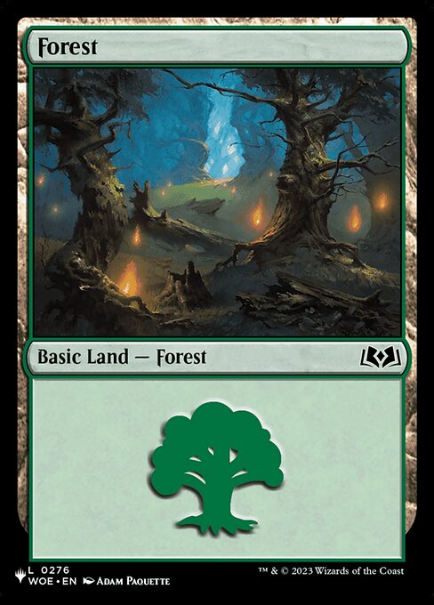 Forest from The List