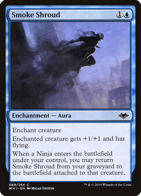 Smoke Shroud from Modern Horizons