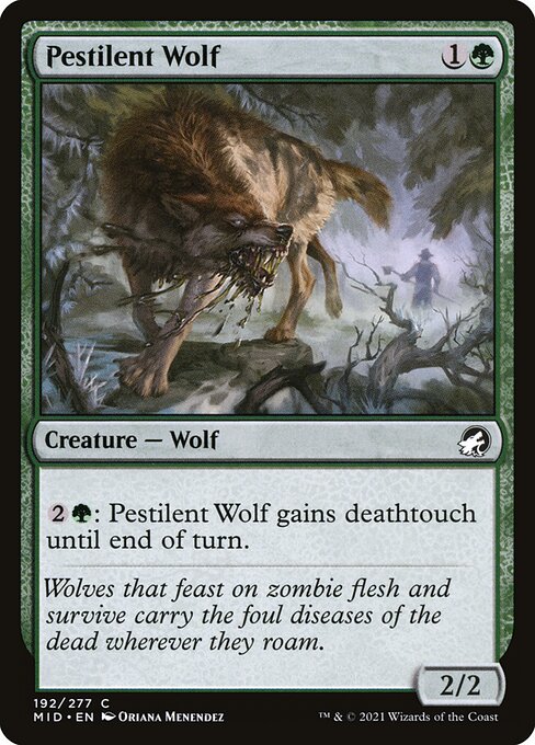 Pestilent Wolf from Innistrad: Midnight Hunt