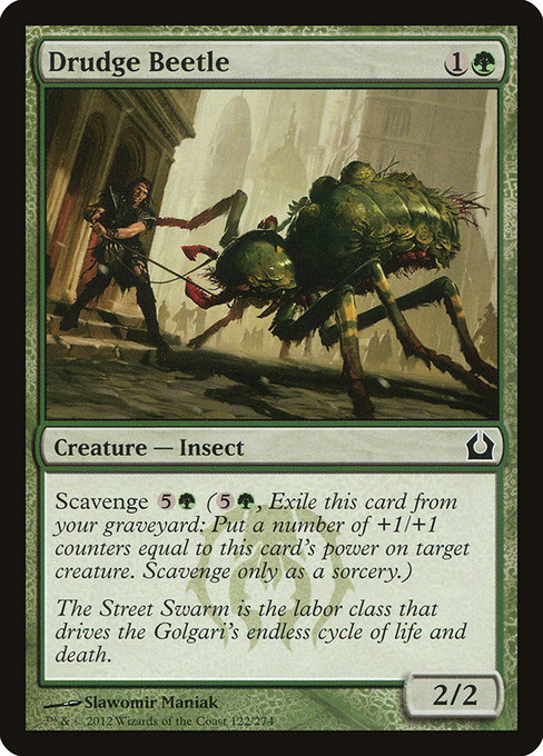 Drudge Beetle from Return to Ravnica
