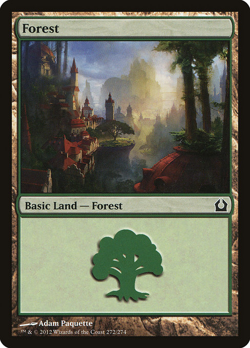 Forest from Return to Ravnica