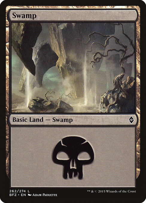 Swamp from Battle for Zendikar