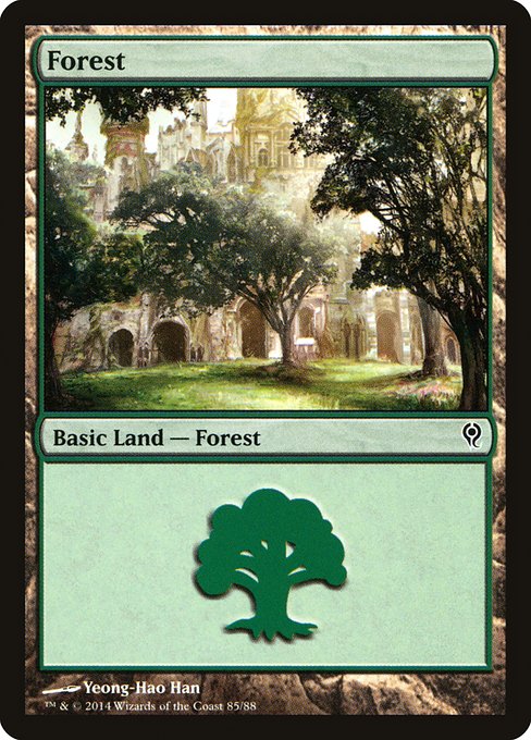 Forest from Duel Decks: Jace vs. Vraska