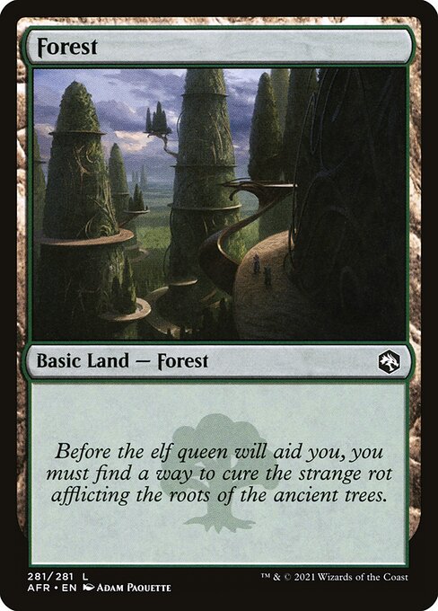 Forest from Adventures in the Forgotten Realms