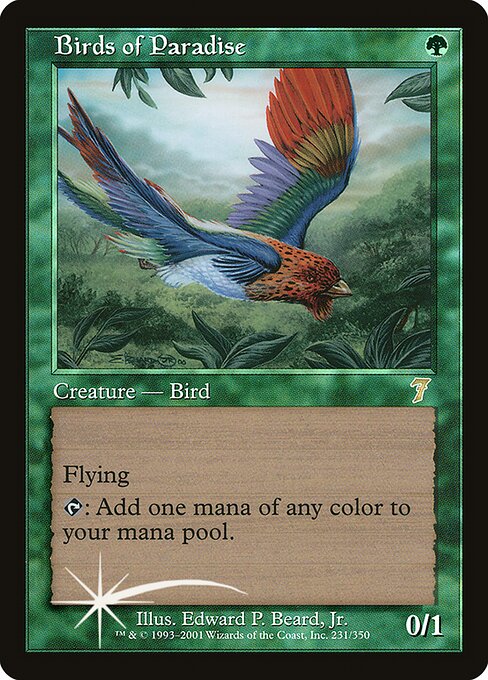 Birds of Paradise from Seventh Edition