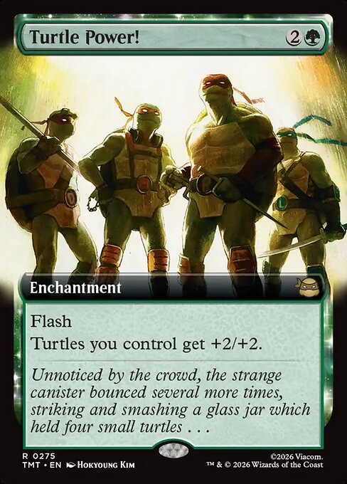 Turtle Power! from Teenage Mutant Ninja Turtles