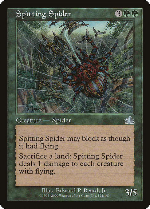 Spitting Spider from Prophecy