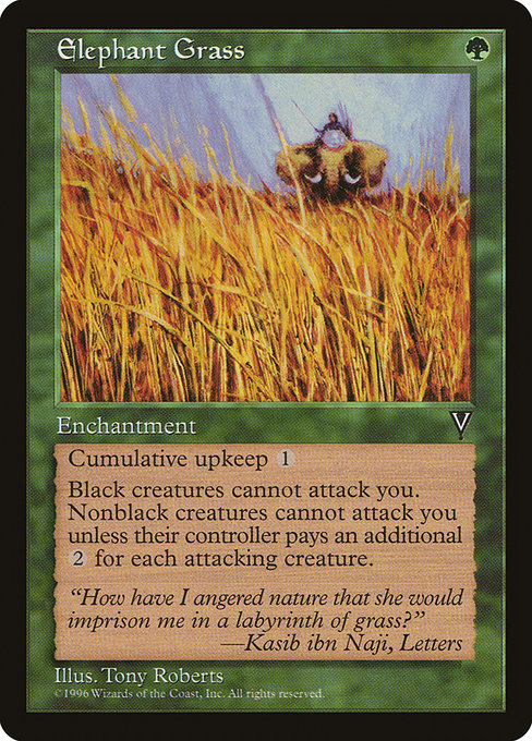 Elephant Grass from Visions