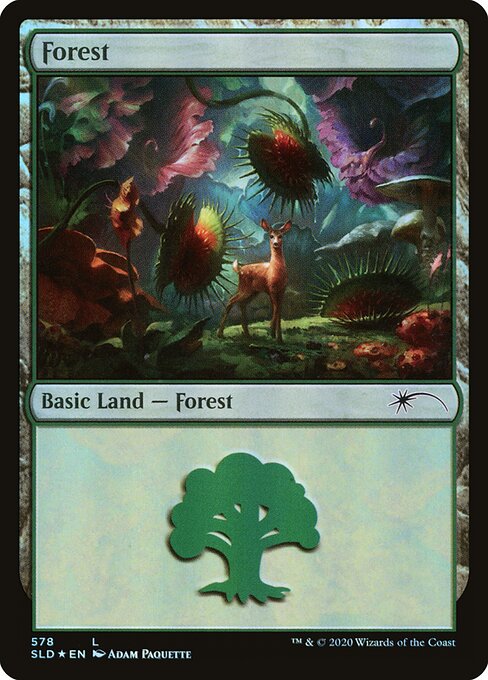 Forest from Secret Lair Drop