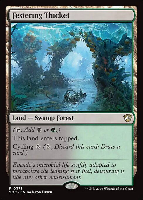 Festering Thicket from Secrets of Strixhaven Commander