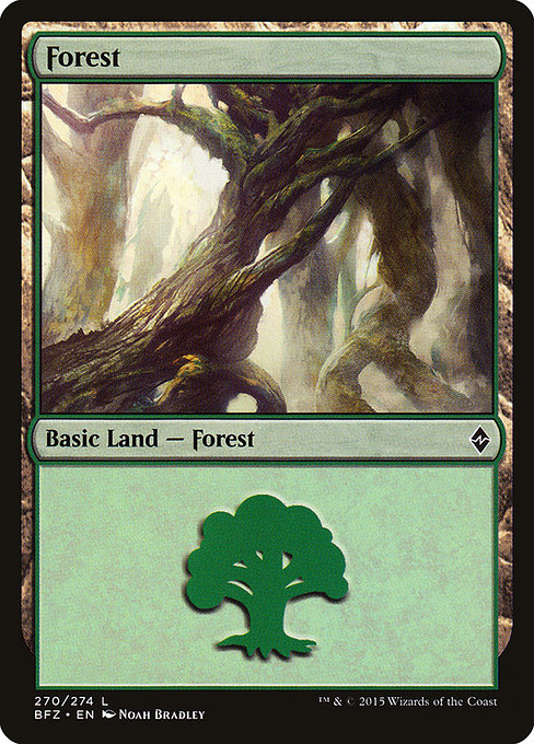 Forest from Battle for Zendikar